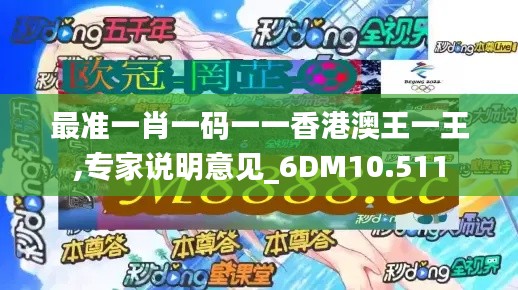 最准一肖一码一一香港澳王一王,专家说明意见_6DM10.511