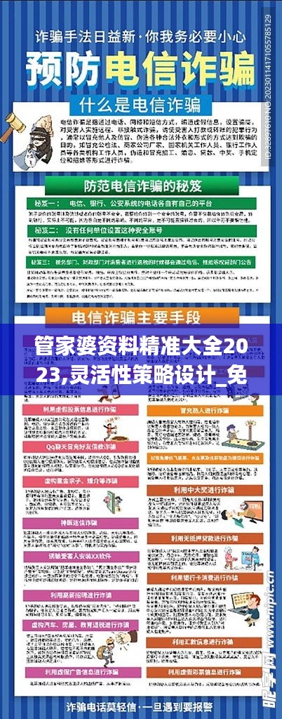 管家婆资料精准大全2023,灵活性策略设计_免费版14.505