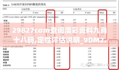 29827cσm查询澳彩资料九肖十八码,定性评估说明_9DM2.621