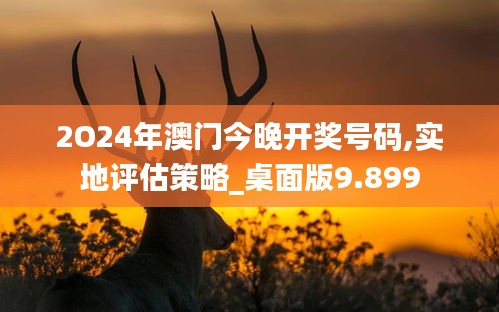 2O24年澳门今晚开奖号码,实地评估策略_桌面版9.899