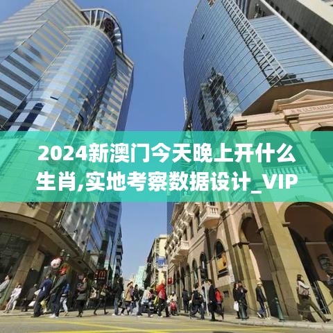 2024新澳门今天晚上开什么生肖,实地考察数据设计_VIP6.215