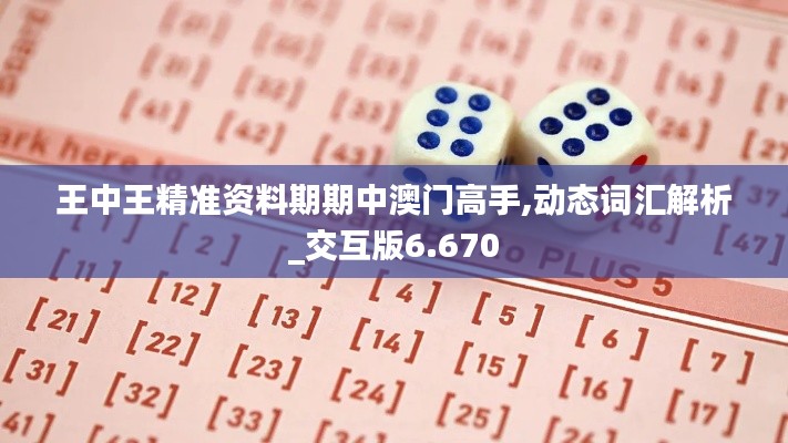 王中王精准资料期期中澳门高手,动态词汇解析_交互版6.670