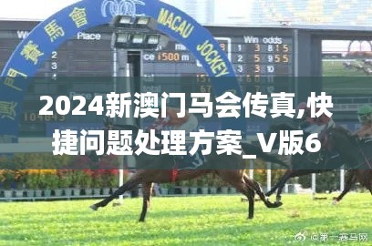 2024新澳门马会传真,快捷问题处理方案_V版6.282