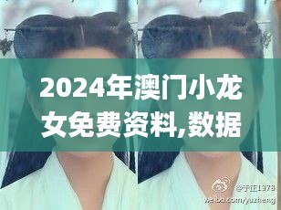 2024年澳门小龙女免费资料,数据整合执行设计_X5.660