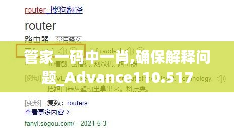 管家一码中一肖,确保解释问题_Advance110.517