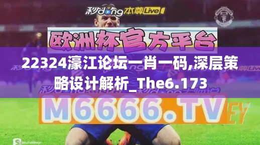 22324濠江论坛一肖一码,深层策略设计解析_The6.173