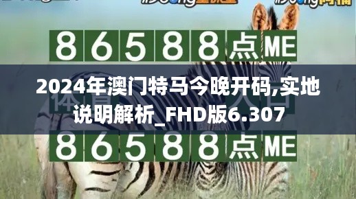 2024年澳门特马今晚开码,实地说明解析_FHD版6.307