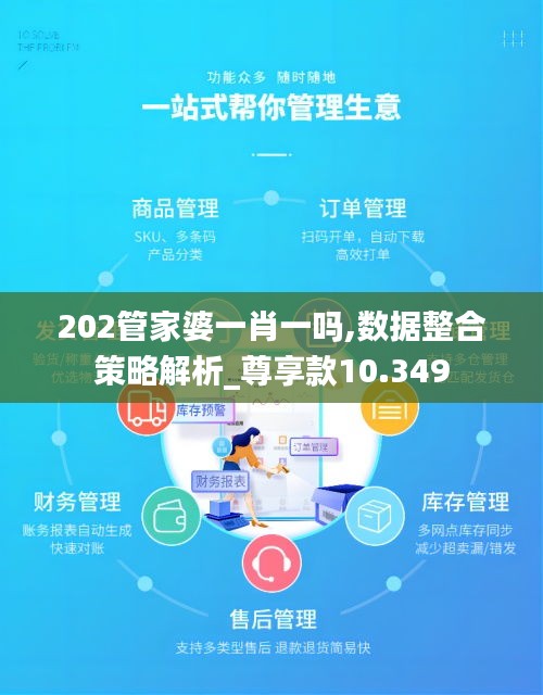 202管家婆一肖一吗,数据整合策略解析_尊享款10.349