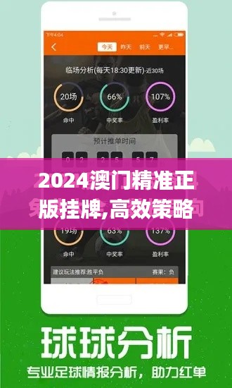 2024澳门精准正版挂牌,高效策略设计_豪华款10.131