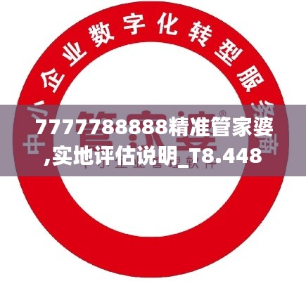 7777788888精准管家婆,实地评估说明_T8.448