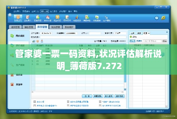 管家婆一票一码资料,状况评估解析说明_薄荷版7.272