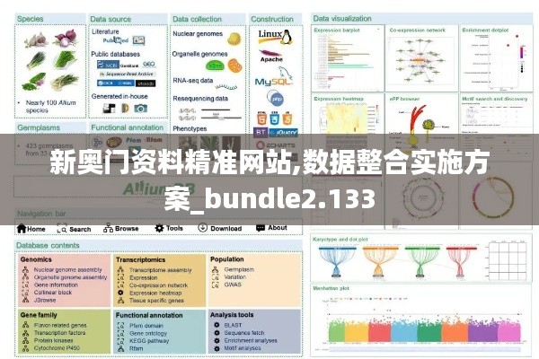 新奥门资料精准网站,数据整合实施方案_bundle2.133
