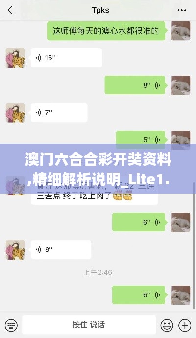 澳门六合合彩开奘资料,精细解析说明_Lite1.382
