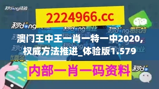 澳门王中王一肖一特一中2020,权威方法推进_体验版1.579