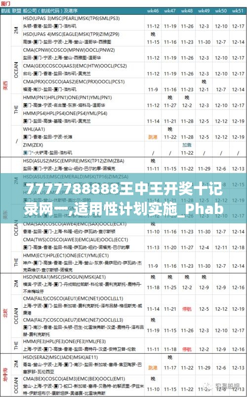 7777788888王中王开奖十记录网一,适用性计划实施_Phablet7.489