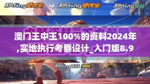 澳门王中王100%的资料2024年,实地执行考察设计_入门版8.971