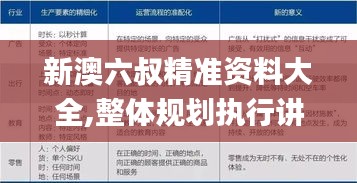 新澳六叔精准资料大全,整体规划执行讲解_3K8.373