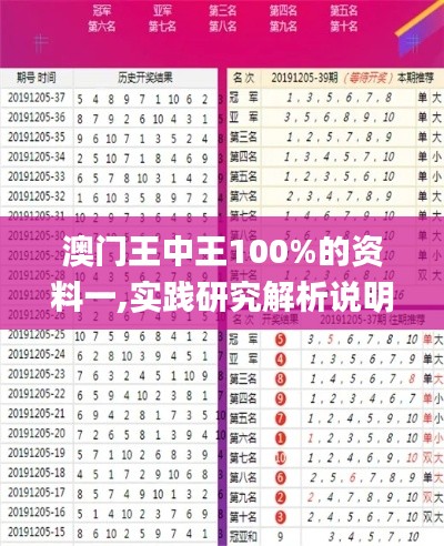 澳门王中王100%的资料一,实践研究解析说明_挑战版9.405