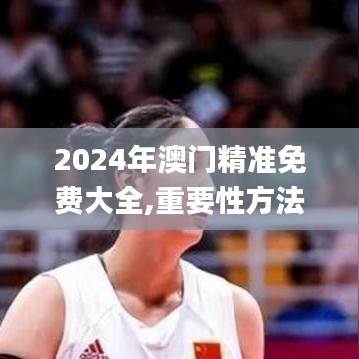 2024年澳门精准免费大全,重要性方法解析_创新版1.122