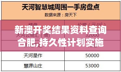 新澳开奖结果资料查询合肥,持久性计划实施_iShop3.933