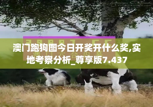 心不在焉 第3页