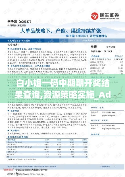 白小姐一码中期期开奖结果查询,资源策略实施_Advance11.265