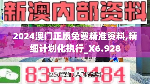 2024澳门正版免费精准资料,精细计划化执行_X6.928