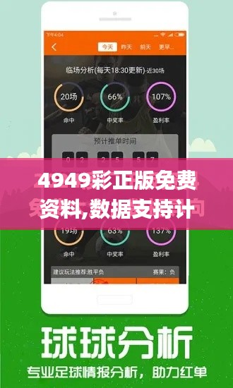 4949彩正版免费资料,数据支持计划设计_V版6.903