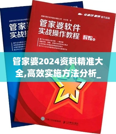 管家婆2024资料精准大全,高效实施方法分析_bundle7.549