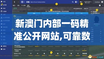 新澳门内部一码精准公开网站,可靠数据解释定义_3DM10.673