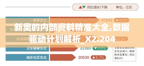 新奥的内部资料精准大全,数据驱动计划解析_X2.204