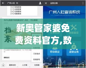 新奥管家婆免费资料官方,数据支持计划设计_XP15.746