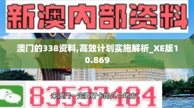 澳门的338资料,高效计划实施解析_XE版10.869