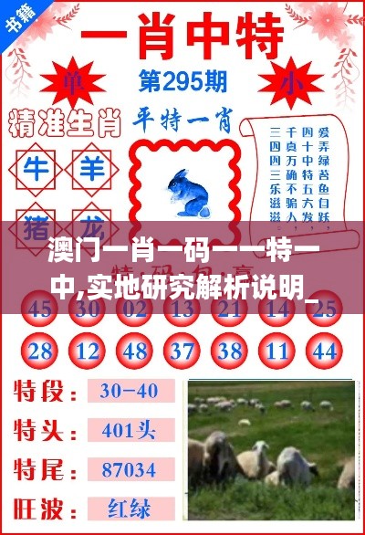 澳门一肖一码一一特一中,实地研究解析说明_C版3.841