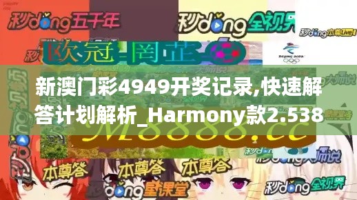 新澳门彩4949开奖记录,快速解答计划解析_Harmony款2.538