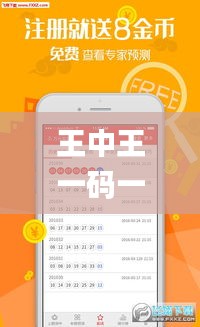 王中王一码一肖一特一中1,实地执行数据分析_app8.919