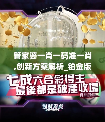 管家婆一肖一码准一肖,创新方案解析_铂金版71.674-6