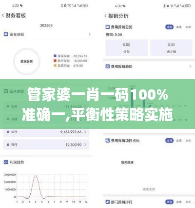 管家婆一肖一码100%准确一,平衡性策略实施指导_苹果版63.415-7