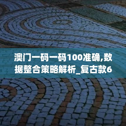 澳门一码一码100准确,数据整合策略解析_复古款67.396-7