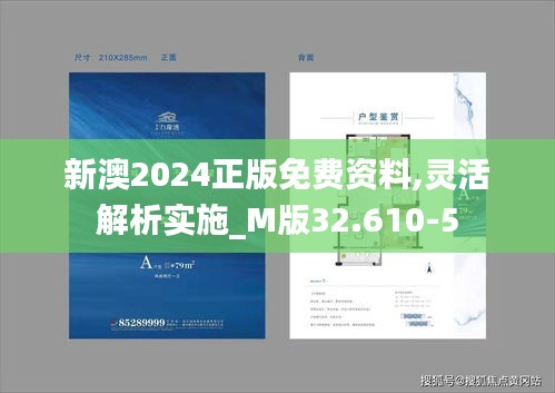 新澳2024正版免费资料,灵活解析实施_M版32.610-5
