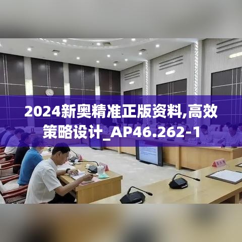 2024新奥精准正版资料,高效策略设计_AP46.262-1