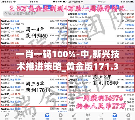 一肖一码100%-中,新兴技术推进策略_黄金版171.383-1