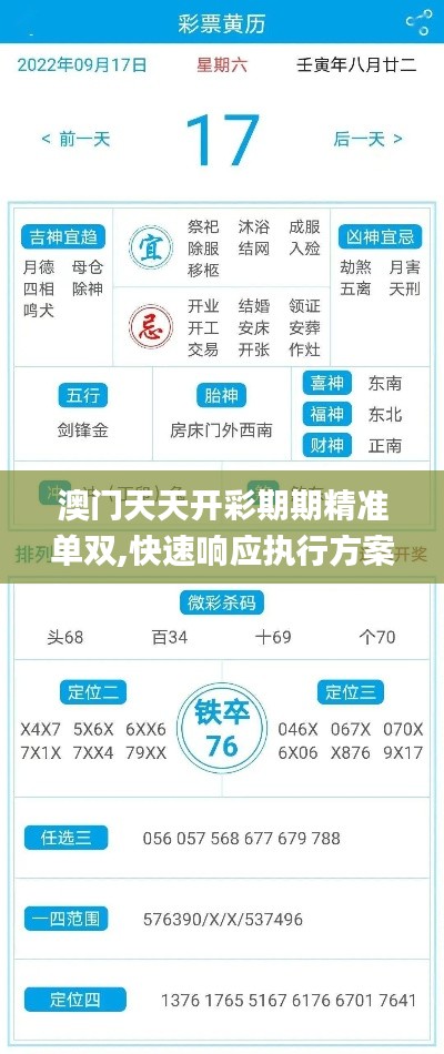 澳门天天开彩期期精准单双,快速响应执行方案_创意版13.425