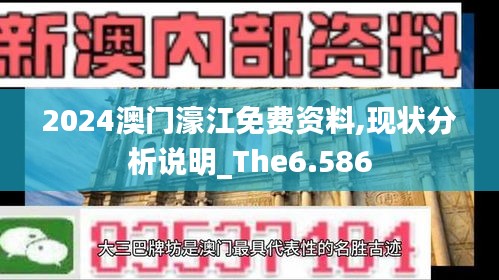 2024澳门濠江免费资料,现状分析说明_The6.586