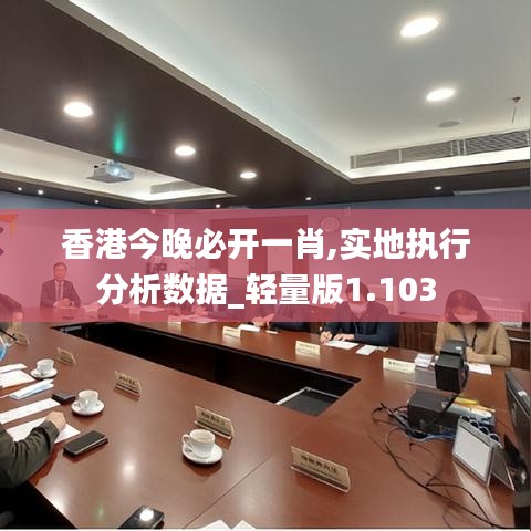 香港今晚必开一肖,实地执行分析数据_轻量版1.103