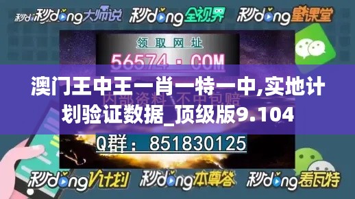 澳门王中王一肖一特一中,实地计划验证数据_顶级版9.104