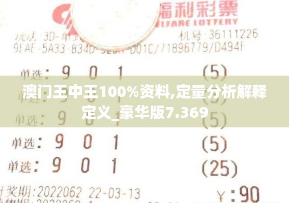 澳门王中王100%资料,定量分析解释定义_豪华版7.369