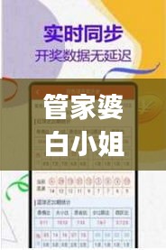 管家婆白小姐四肖四码,创新解析方案_UHD款9.647