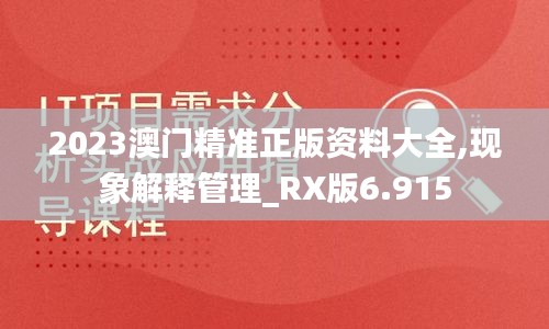 2023澳门精准正版资料大全,现象解释管理_RX版6.915