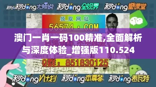 澳门一肖一码100精准,全面解析与深度体验_增强版110.524